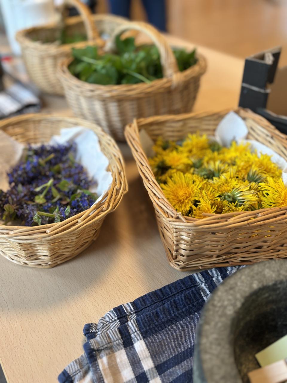 Kräuterexpertin